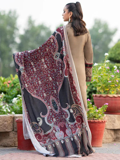 3pc unstitched dhanak dress with printed wool shawl