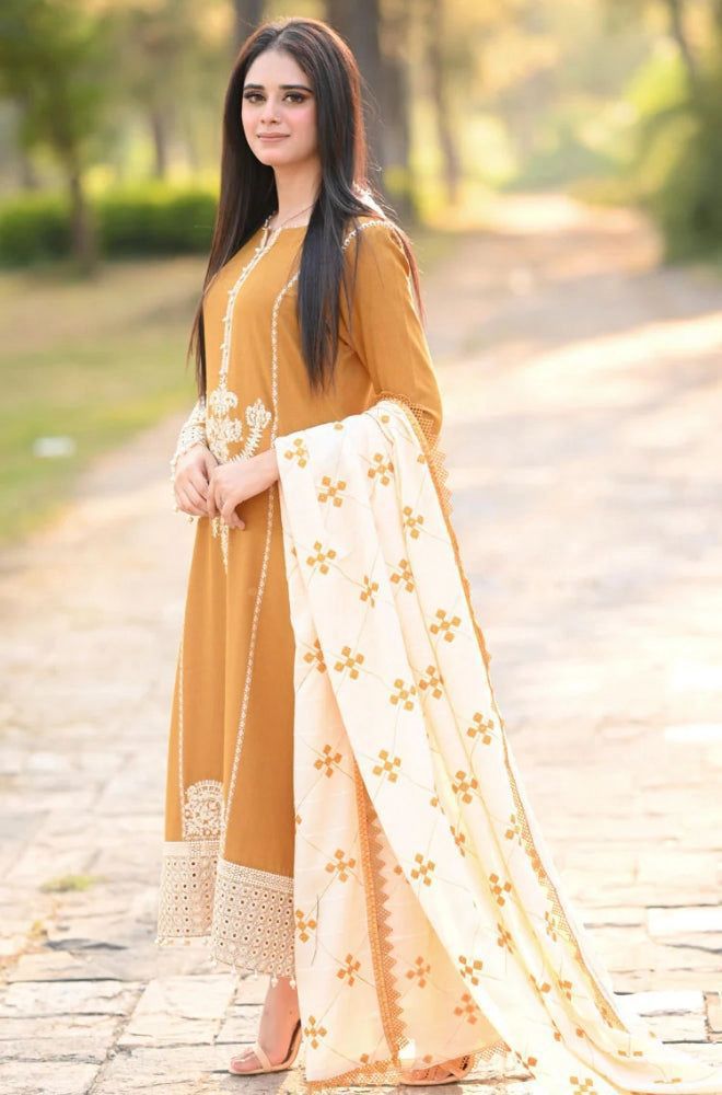 Brand Baroque Winter Collection Fabric Airjet dhanak
